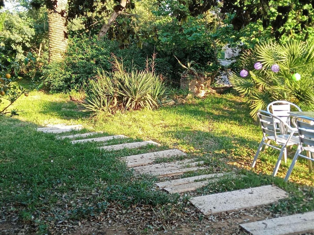 Rustic Les Corts Del Mas Virrei