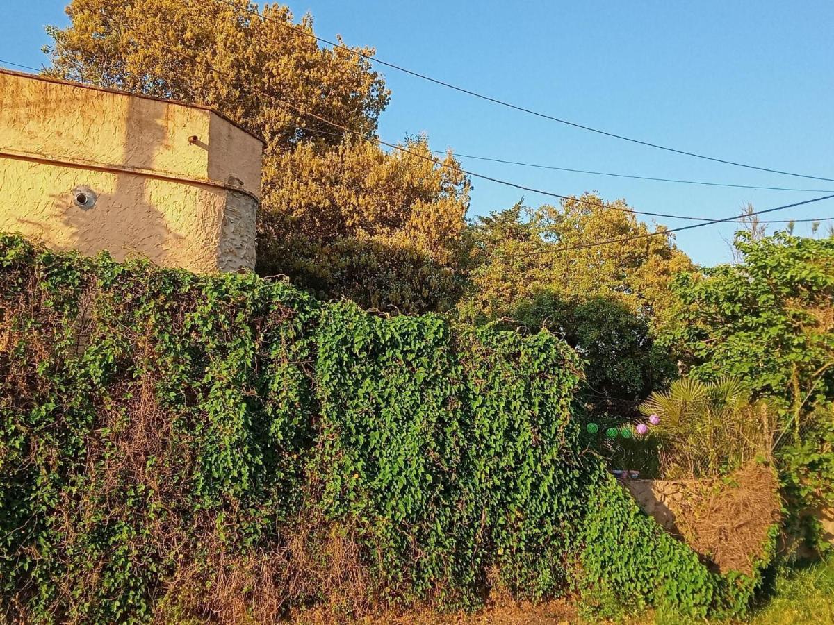 Rustic Les Corts Del Mas Virrei