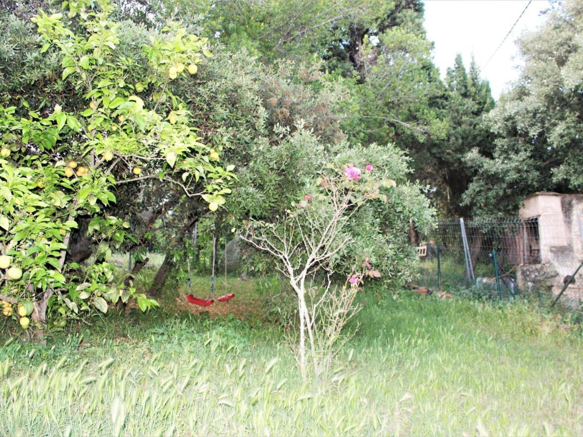 Rustic Les Corts Del Mas Virrei *