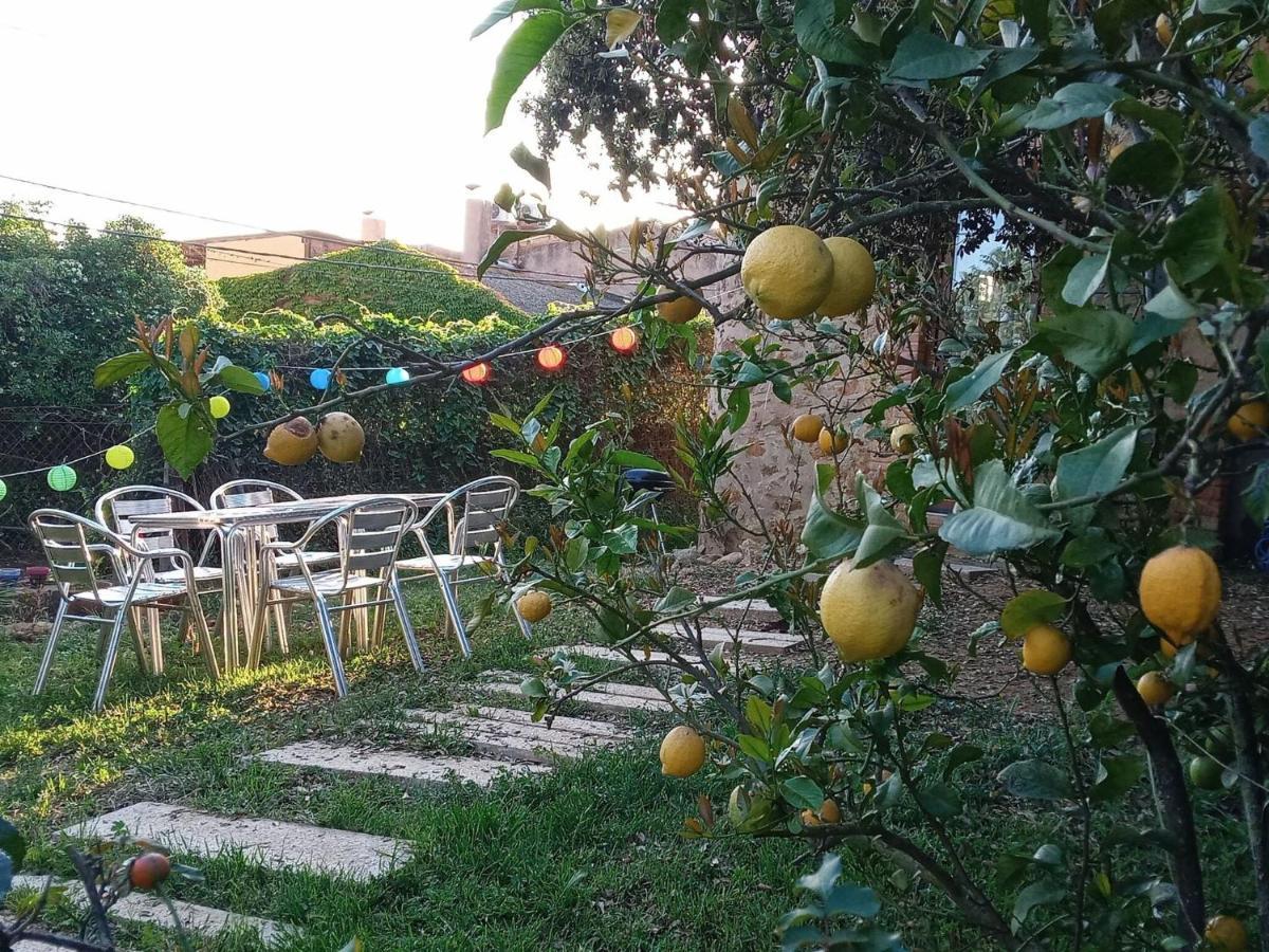 Rustic Les Corts Del Mas Virrei